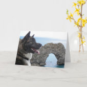 Japaness Akita Karte (Gelbe Blume)