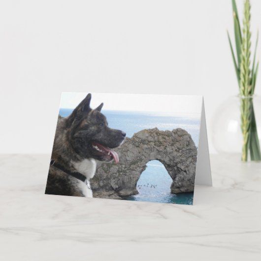 Japaness Akita Karte (Vorderseite)