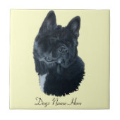 Japanisch/Amerikanisch Fliese (Vorderseite)