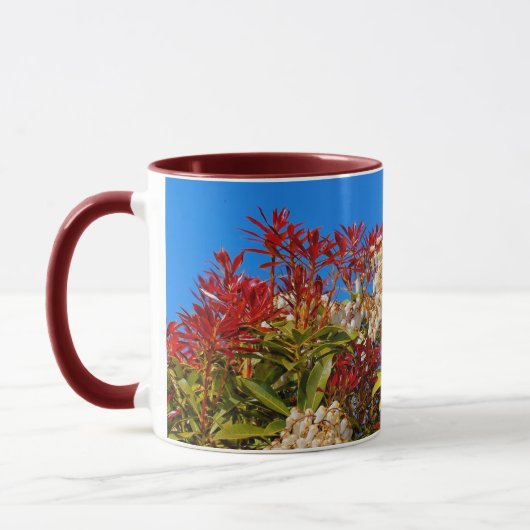 Japanisch Andromeda Bonfire Tasse (Links)