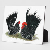 Japanisch Bantams Mottling Fotoplatte (Seite)