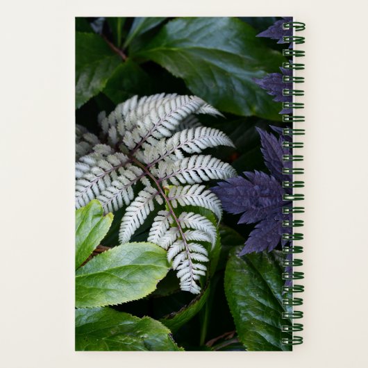 Japanisch bemalt Fern Floral Notizblock (Rückseite)