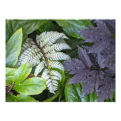 Japanisch bemalt Fern und Foliage botanisch Fotodruck (Vorne)