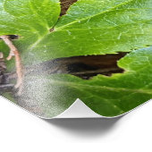 Japanisch bemalt Fern und Foliage botanisch Fotodruck (Ecke)