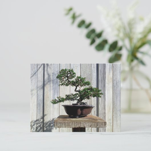 Japanisch Bonsai Postkarte (Stehend Vorderseite)