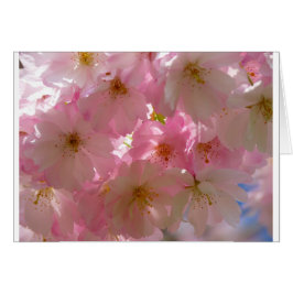 Japanisch Cherry Blossom