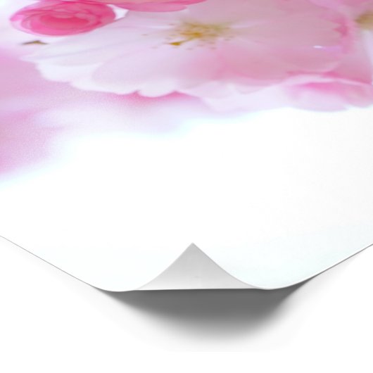 Japanisch Cherry Blossom Fotodruck (Ecke)