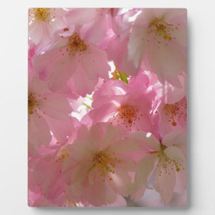 Japanisch Cherry Blossom Fotoplatte