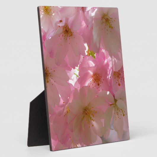 Japanisch Cherry Blossom Fotoplatte (Seite)