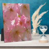 Japanisch Cherry Blossom Fotoplatte (Seite)