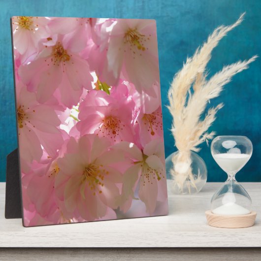 Japanisch Cherry Blossom Fotoplatte (Seite)