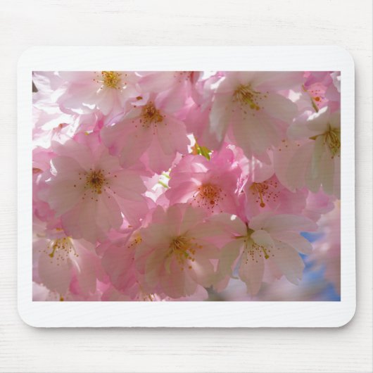 Japanisch Cherry Blossom Mousepad (Vorne)