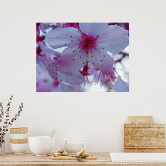 Japanisch Cherry Blossom Poster (Küche)