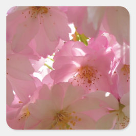 Japanisch Cherry Blossom Quadratischer Aufkleber