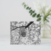 Japanisch Cherry Blossom und Lantern Postkarte (Stehend Vorderseite)