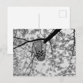 Japanisch Cherry Blossom und Lantern Postkarte (Vorne/Hinten)