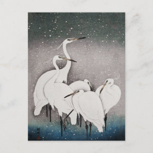 Japanisch Egrets Koson Cranes Winter Snow Postkarte