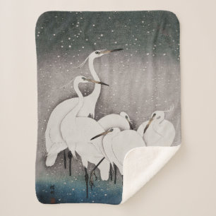 Japanisch Egrets Koson Cranes Winter Snow Sherpadecke