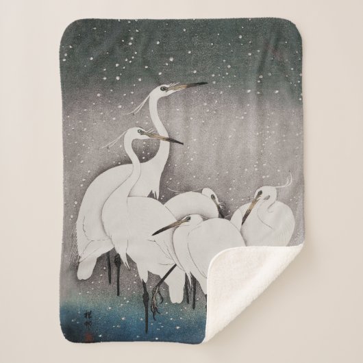 Japanisch Egrets Koson Cranes Winter Snow Sherpadecke (Vorderseite)