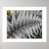 Japanisch gestrichen Fern Floral Fotografisch Poster (Vorne)