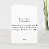 Japanisch Ire - Iris Kaempferi - Grußkarte Karte (Rückseite)