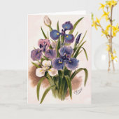 Japanisch Ire - Iris Kaempferi - Grußkarte Karte (Gelbe Blume)