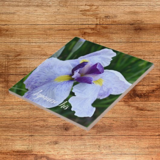 Japanisch Iris Bloom Floral Fliese