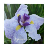 Japanisch Iris Bloom Floral Fliese (Vorderseite)