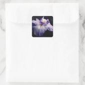 Japanisch Iris Blume Beauty Quadratischer Aufkleber (Tasche)