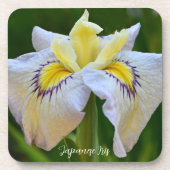 Japanisch Iris Floral, weiß und gelb Getränkeuntersetzer (Vorderseite)