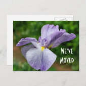 Japanisch Iris New Address Floral Postcard Ankündigungspostkarte (Vorne/Hinten)