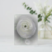 Japanisch Kamelien Postkarte (Stehend Vorderseite)