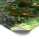 Japanisch Lantern Poster (Ecke)