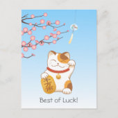 Japanisch Lucky Calico Cat, Maneki Neko Postkarte (Vorderseite)