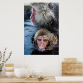 Japanisch Macaque Baby Poster (Küche)