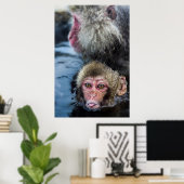 Japanisch Macaque Baby Poster (Heimbüro)
