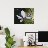 Japanisch Magnolia Art Print - 24x20 - oder kleine Poster (Heimbüro)