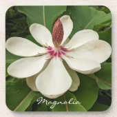 Japanisch Magnolia Blossom Floral Getränkeuntersetzer (Vorderseite)