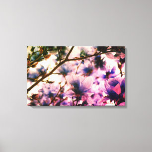 Japanisch Magnolia Canvas Print Leinwanddruck