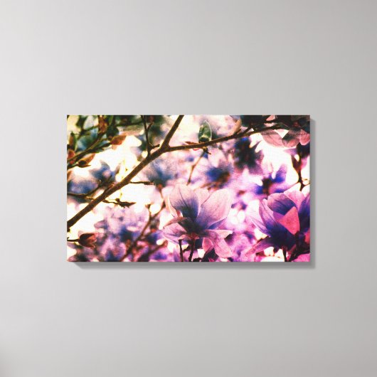 Japanisch Magnolia Canvas Print Leinwanddruck (Vorderseite)