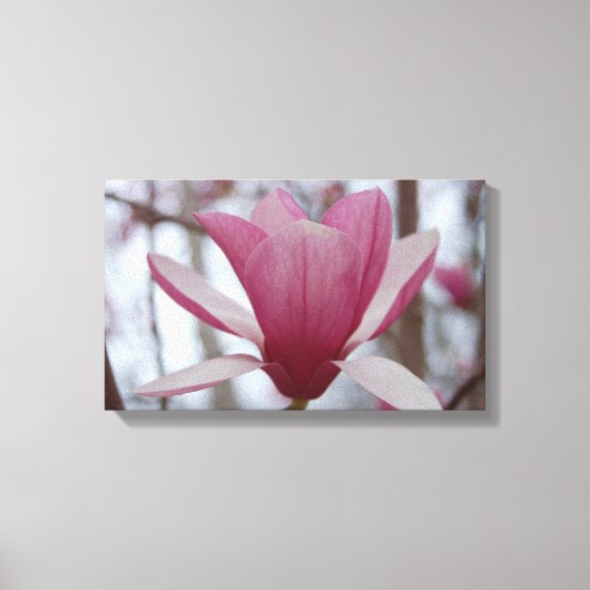 Japanisch Magnolia Canvas Print Leinwanddruck (Vorderseite)