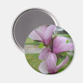 Japanisch Magnolia Magnet (Vorderseite/Rückseite)