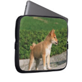 Japanisch Midget Shiba 2 Laptopschutzhülle (Vorne Rechts)