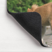 Japanisch Midget Shiba 2 Mousepad (Ecke)