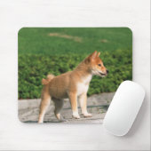 Japanisch Midget Shiba 2 Mousepad (Mit Mouse)