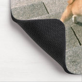 Japanisch Midget Shiba 3 Mousepad (Ecke)
