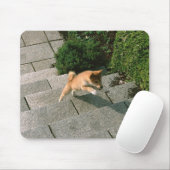Japanisch Midget Shiba 3 Mousepad (Mit Mouse)