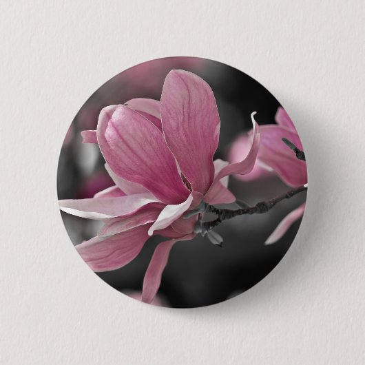 Japanisch Pink Saucer Magnolia Button (Vorderseite)
