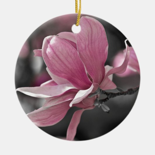 Japanisch Pink Saucer Magnolia Keramikornament (Vorne)