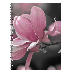 Japanisch Pink Saucer Magnolia Notizblock